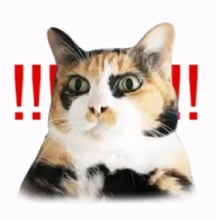 Стикер عمي انت راقي - 6