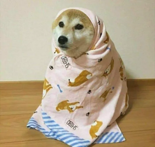 Стикер عمي انت راقي - 4