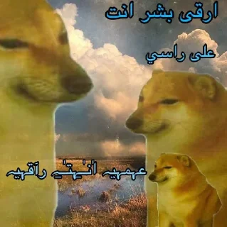 Стикер عمي انت راقي - 1