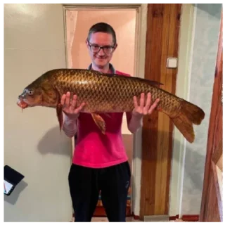 Sticker О нет, лалашендры - 8