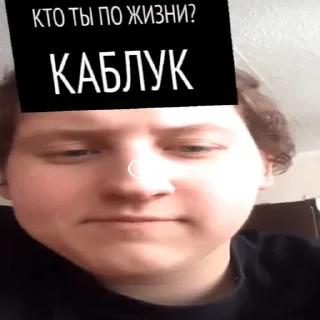 Sticker OPG maliniha - 11