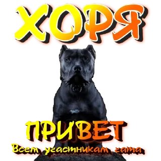 Стикер ЧУДНОЕ МЕСТЕЧКО - 3