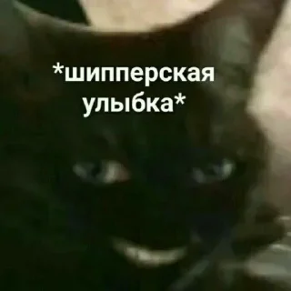 Sticker Стикеры тут: @stikeryv - 2