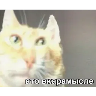 Sticker Стикеры тут: @stikeryv - 8