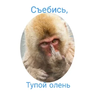Sticker ОРКИ - 10