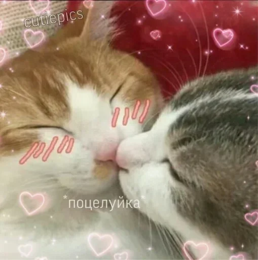 Sticker OSLTGcPJRQ_by_Sticker363728bot - 1