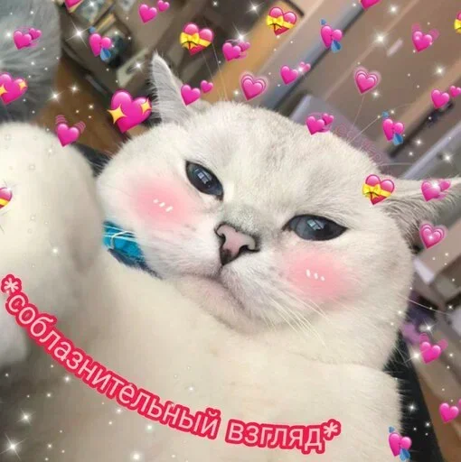 Sticker OSLTGcPJRQ_by_Sticker363728bot - 1