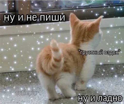 Sticker OSLTGcPJRQ_by_Sticker363728bot - 1