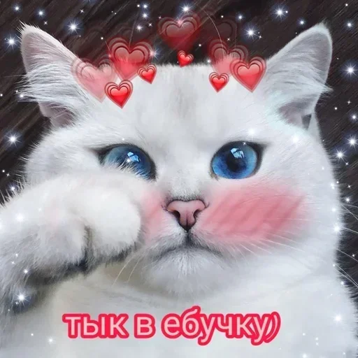 Стикер OSLTGcPJRQ_by_Sticker363728bot - 1