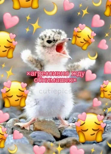 Стикер OSLTGcPJRQ_by_Sticker363728bot - 1