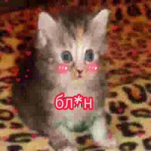 Стикер OSLTGcPJRQ_by_Sticker363728bot - 1