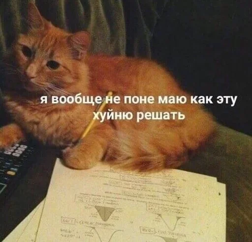 Стикер OSLTGcPJRQ_by_Sticker363728bot - 1