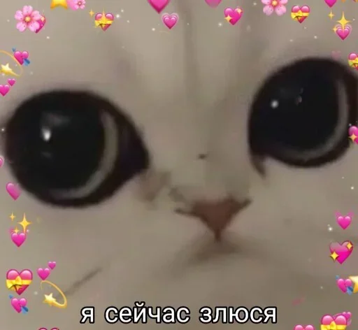 Sticker OSLTGcPJRQ_by_Sticker363728bot - 1