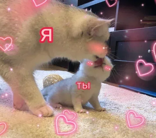 Стикер OSLTGcPJRQ_by_Sticker363728bot - 1