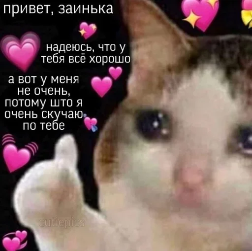 Sticker OSLTGcPJRQ_by_Sticker363728bot - 1