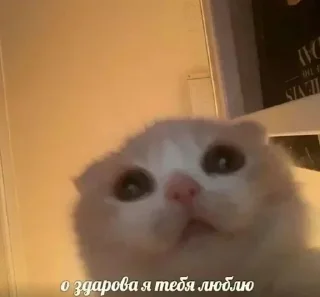 Стикер @stickeri_tg 💋<-- стикеры тут - 9