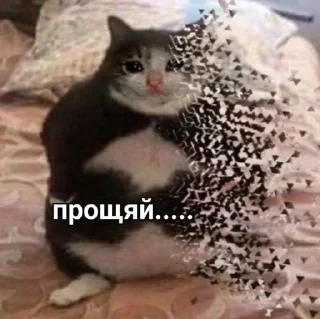 Стикер @stickeri_tg 💋<-- стикеры тут - 3