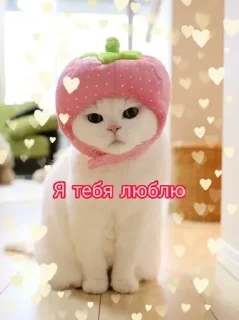 Стикер @stickeri_tg 💋<-- стикеры тут - 6