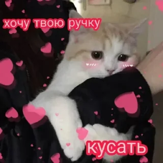 Стикер @stickeri_tg 💋<-- стикеры тут - 11