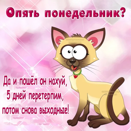 Sticker Открытки by @GIFSTIKI - 8