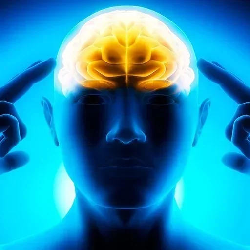 Sticker OTegljR_by_achestickbot - 1