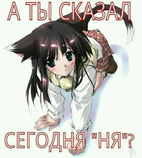 Sticker попные (Created By: @StikerProBot) - 11