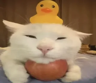 Стикер Больше стиков тут: @stikery4 - 8