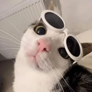 Стикер Больше стиков тут: @stikery4 - 10