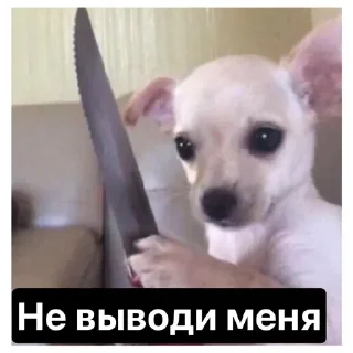 Стикер OWp_IrbQRM - 2