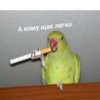 Стикер OWp_IrbQRM - 6