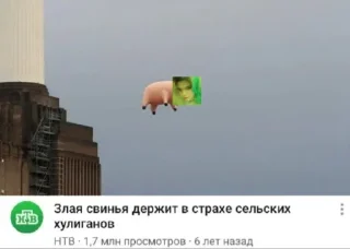 Sticker Мой стикерпак @moyi_stikery_bot - 4