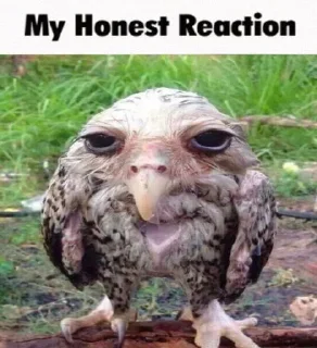 Sticker Избранные • @sticbot - 8