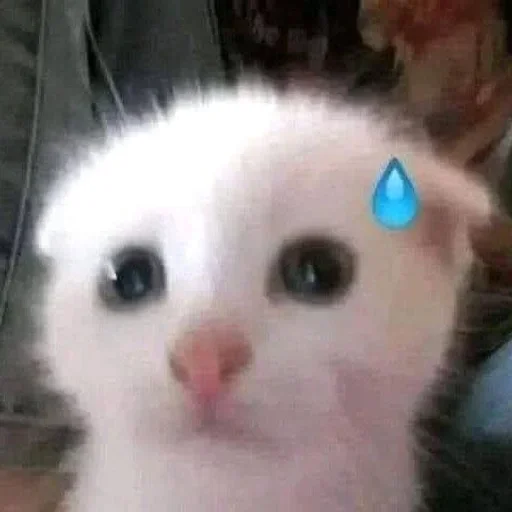 Больше стиков тут: @stikery4 - 