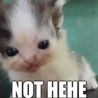 Sticker Больше стиков тут: @stikery4 - 8