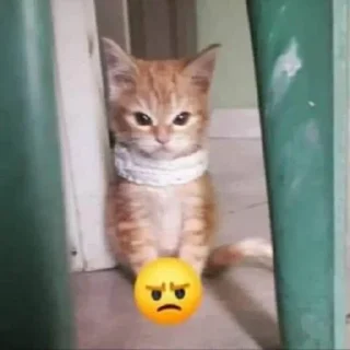 Sticker Больше стиков тут: @stikery4 - 2