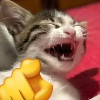 Sticker Больше стиков тут: @stikery4 - 4