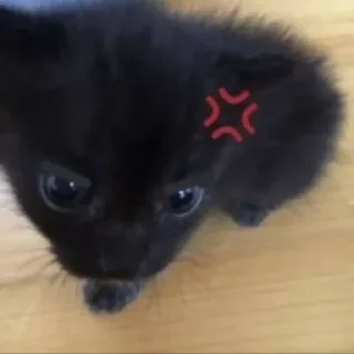 Sticker Больше стиков тут: @stikery4 - 1