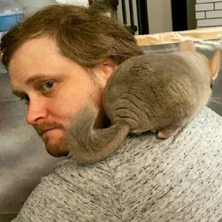 Sticker @sexstikkers - 0