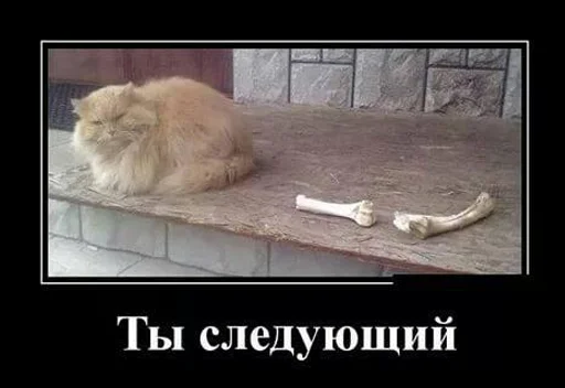 млекопитающее животное СМС