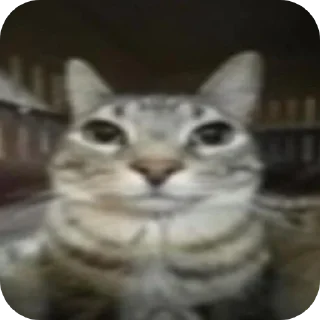 Sticker оаэоаэх сигма стики - 5