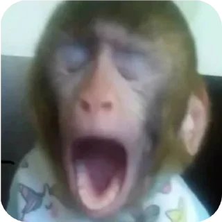 Sticker оаэоаэх сигма стики - 6