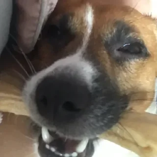 Стикер Оала - 2