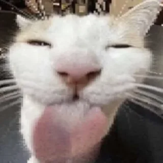 Стикер Оала - 3