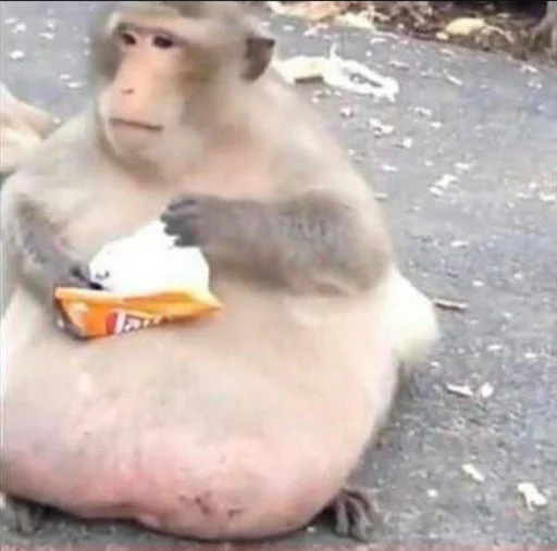 Стикер Антипельмени - 9