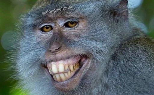 Стикер Антипельмени - 7