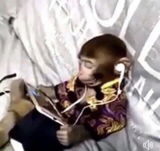 Стикер Антипельмени - 4