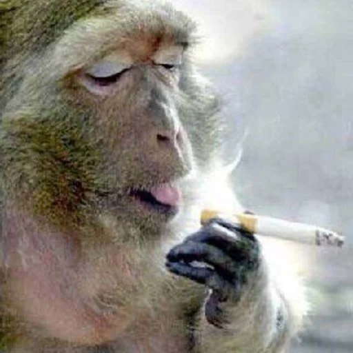 Стикер Антипельмени - 0