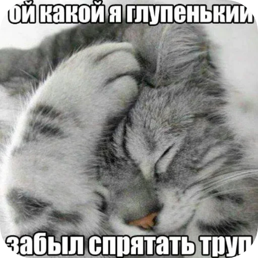 Стикер ObossalBabku - 1