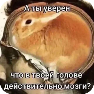 Sticker задумайся. @zazagartner019 - 6