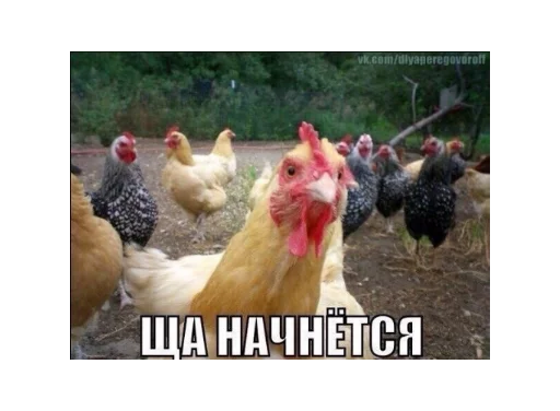 Стикер ObscurusP - 1